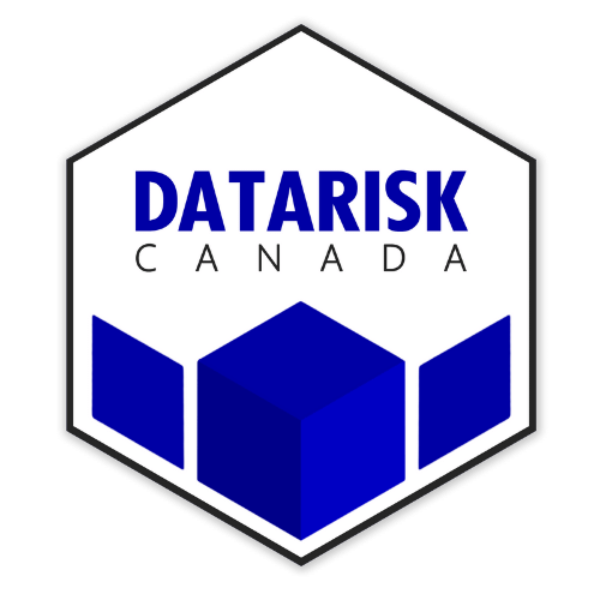 Datarisk Logo